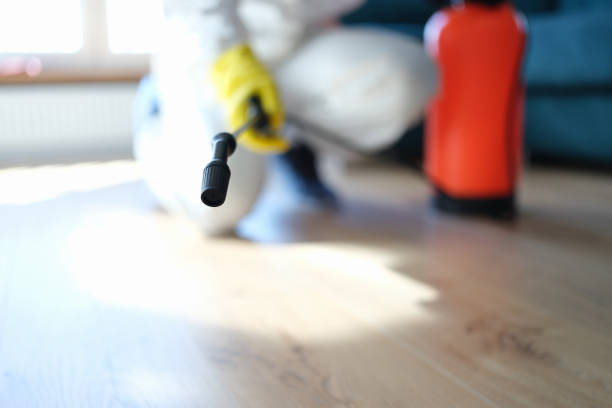 Best Forensic Mold Investigation  in Fort Campbell North, KY