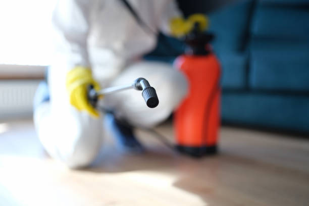 Best Mold Remediation for Healthcare Facilities  in Fort Campbell North, KY